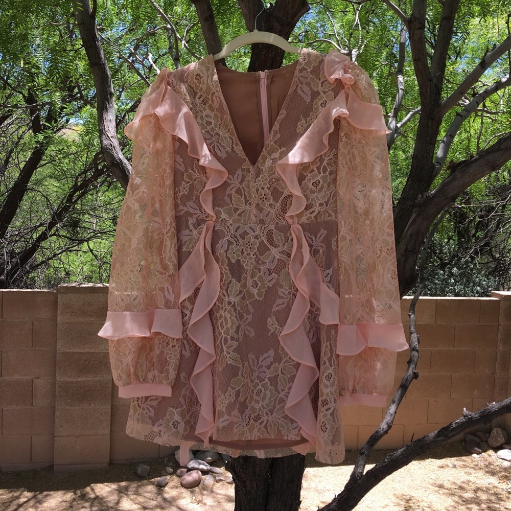 Beautiful for love and lemons lace pink dress !